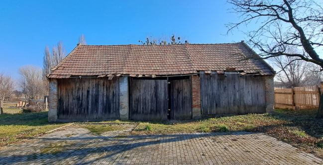 Szolgáltatásaink